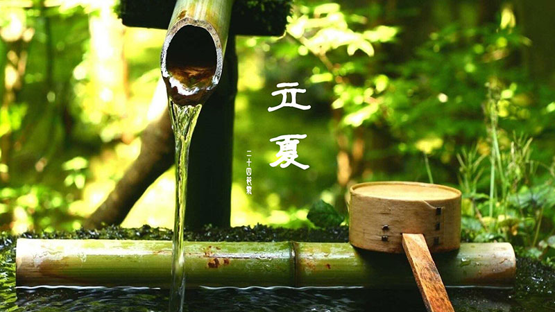 立夏|春意藏，夏初長