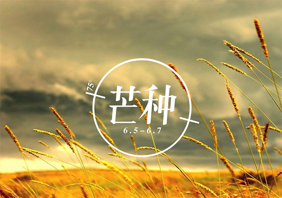 芒種丨你在歲月奔忙的模樣，值得被大地犒賞