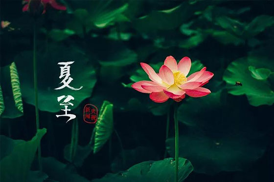 夏至|愿所有期許，如約而至