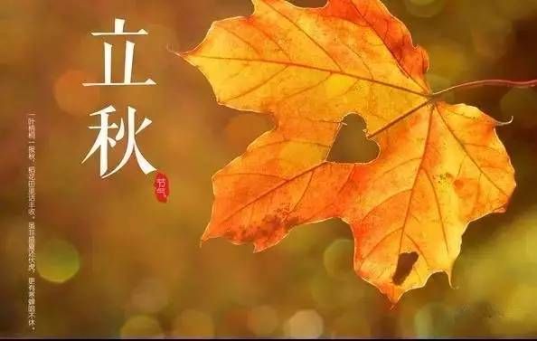 夏未盡，秋已至