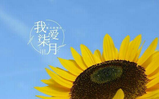 流光已過，再見七月